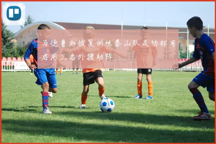 马德鲁加恢复训练泰山队足协杯可启用三名外援助阵