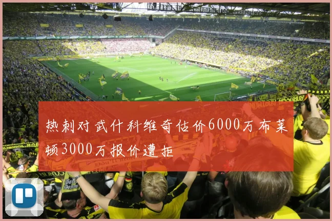 热刺对武什科维奇估价6000万布莱顿3000万报价遭拒